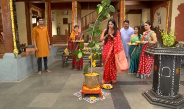 स्टार प्रवाहवरील मालिकांमध्ये जल्लोषात साजरी होणार वटपौर्णिमा