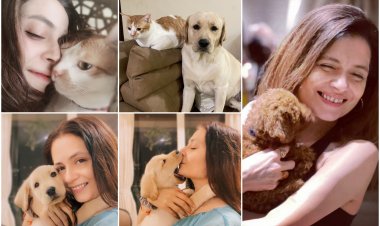 Samyukta Singh opens up about her love for pets....