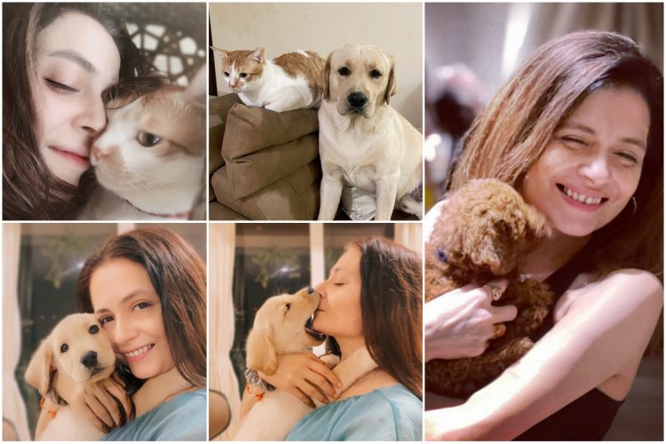 Samyukta Singh opens up about her love for pets....