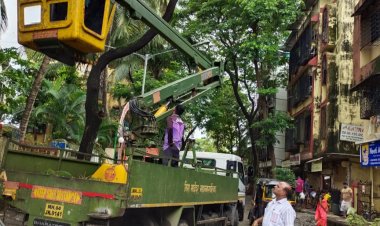 भाईंदर में पेड़ों की छंटनी कराकर किया गया सुरक्षित....