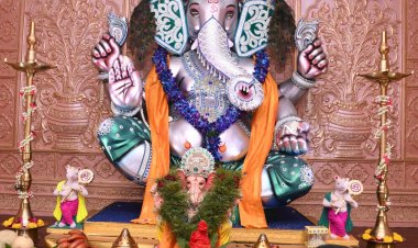 मानवीय सेवा के प्रति समर्पित ओम गणेश शिव साईं मित्र मंडल का भव्य गणेशोत्सव