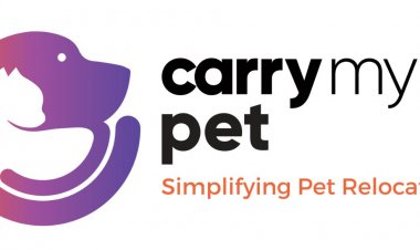 कैरी माई पेट प्रदान करेगा पेट रिलोकेशन का वास्तविक अनुभव 