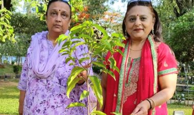 विश्व पर्यावरण दिवस पर डॉ. मंजू लोढ़ा ने किया पौधारोपण