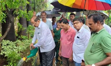 डॉक्टर श्यामाप्रसाद मुखर्जी जयंती के अवसर पर सांसद गोपाल शेट्टी ने किया पौधारोपण