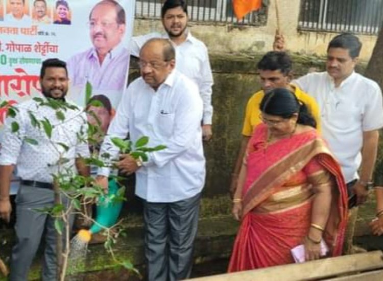 सांसद गोपाल शेट्टी के "संकल्प 1000 वृक्ष" अभियान अंतर्गत गोराई में शुरू हुआ पौधारोपण