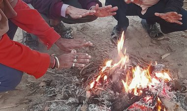 कविता : गांव की ठंडी