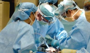 पिता के बोन मैरो द्वारा 21 माह के शिशु को "लिम्फोब्लास्टिक ल्यूकेमिया" से बचाया गया !