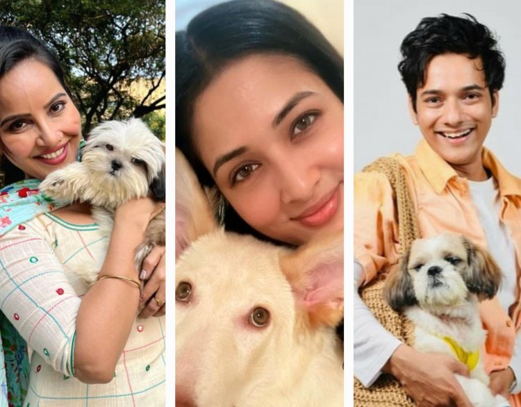 National Pet Day : अपने प्यारे पेट्स से सीखिये जिंदगी के बेहतरीन सबक ! 