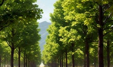 पर्यावरण पर एक विशेष कजरी : इक ठो पेड़ मां के नाम पर लगावल जाई